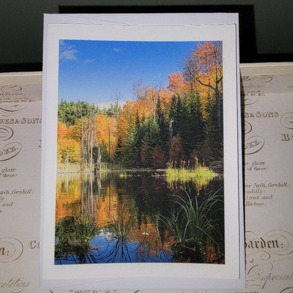 Packet of 8 Notecards - Adirondack Light 1 - Picture 5 of 14